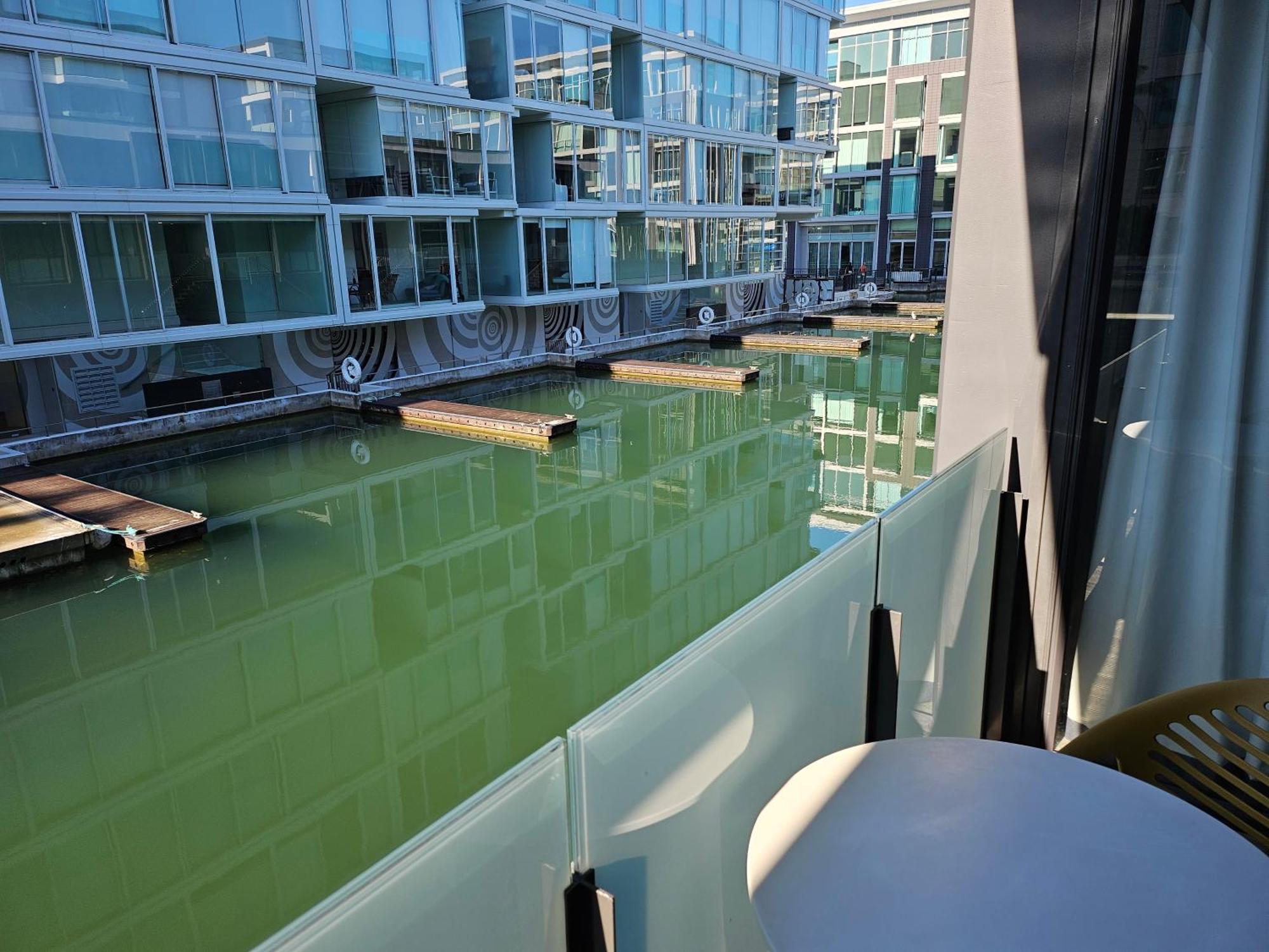 Pavilions Marina Apartment 102 - Wynyard Quarter Viaduct Harbour Auckland Esterno foto